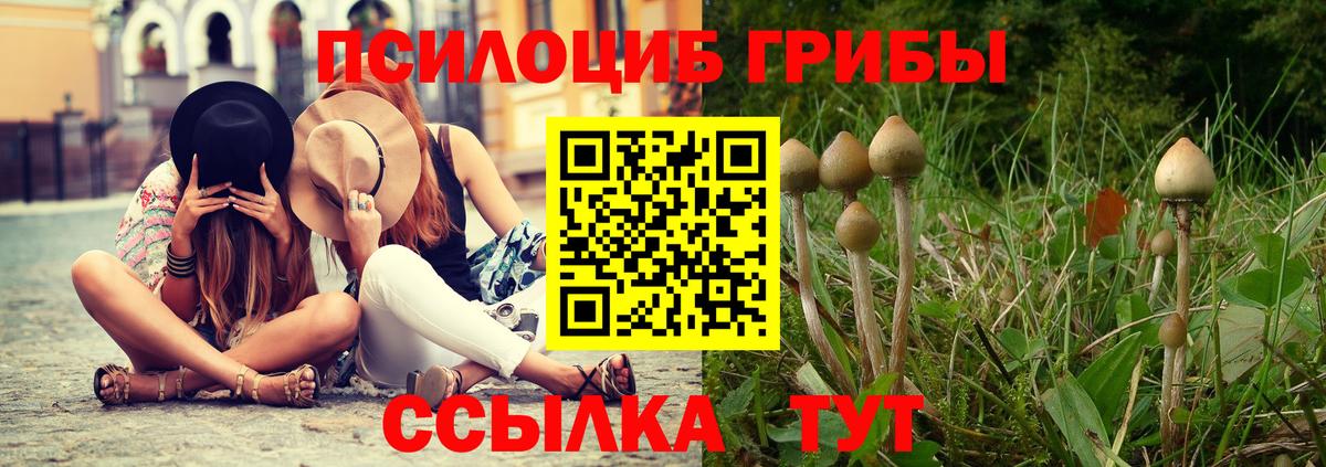 Галлюциногенные грибы Magic Shrooms Вятские Поляны