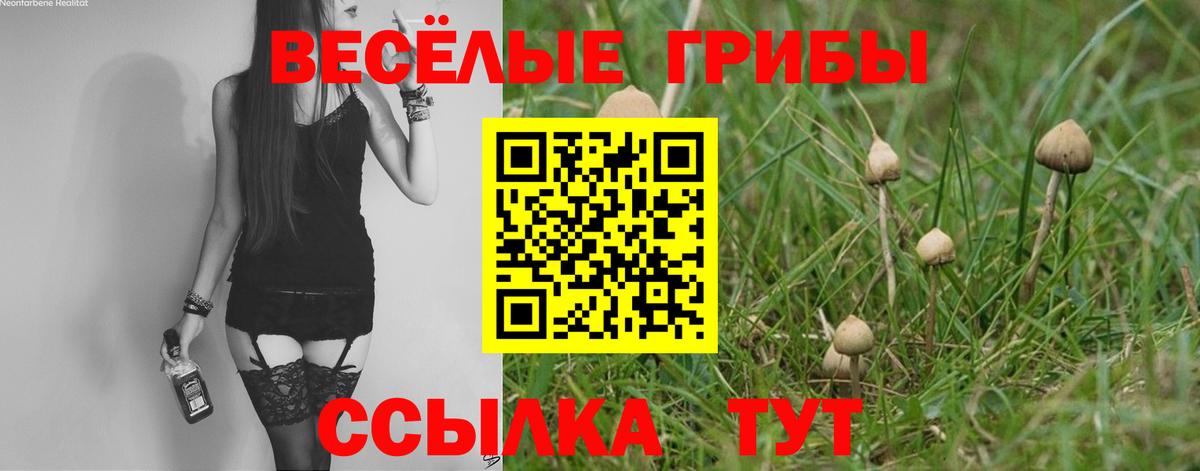 Галлюциногенные грибы мухоморы  Вход с VPN  Псилоцибиновые грибы мухоморы  Вятские Поляны 